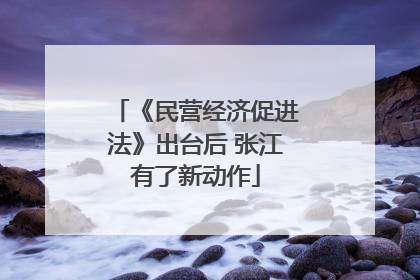 《民营经济促进法》出台后 张江有了新动作