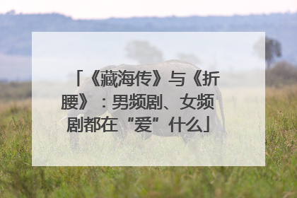 《藏海传》与《折腰》：男频剧、女频剧都在“爱”什么