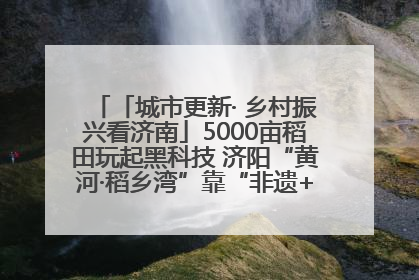 「城市更新· 乡村振兴看济南」5000亩稻田玩起黑科技 济阳“黄河·稻乡湾”靠“非遗+露营”火出圈