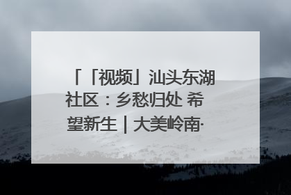 「视频」汕头东湖社区：乡愁归处 希望新生｜大美岭南·百村焕新记