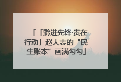 「黔进先锋·贵在行动」赵大志的“民生账本”画满勾勾