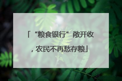 “粮食银行”敞开收，农民不再愁存粮
