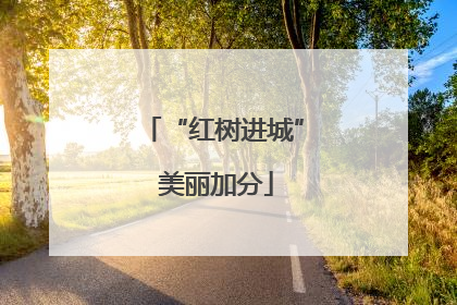 “红树进城” 美丽加分