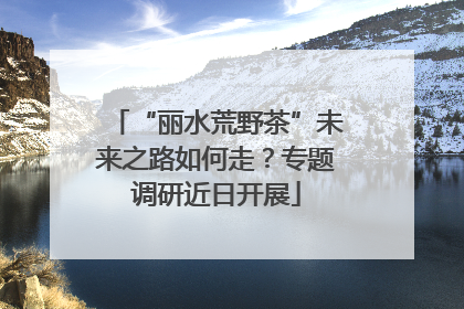 “丽水荒野茶”未来之路如何走？专题调研近日开展