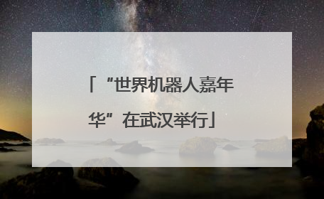 “世界机器人嘉年华”在武汉举行
