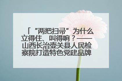 “两把扫帚”为什么立得住、叫得响？——山西长治壶关县人民检察院打造特色党建品牌激活发展动能