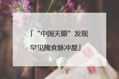 “中国天眼”发现罕见掩食脉冲星