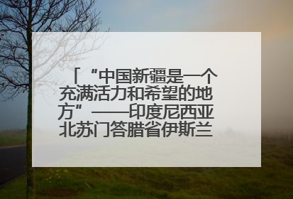 “中国新疆是一个充满活力和希望的地方”——印度尼西亚北苏门答腊省伊斯兰教代表团参访新疆