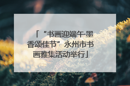 “书画迎端午·墨香颂佳节”永州市书画雅集活动举行