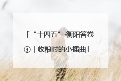 “十四五”·衡阳答卷③｜收粮时的小插曲