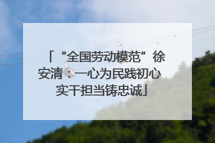 “全国劳动模范”徐安清：一心为民践初心 实干担当铸忠诚