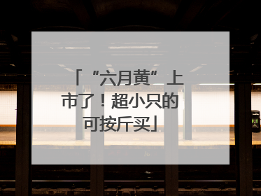 “六月黄”上市了！超小只的可按斤买