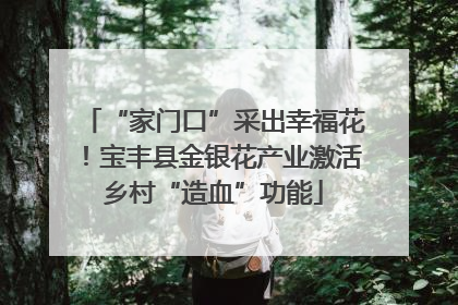 “家门口”采出幸福花！宝丰县金银花产业激活乡村“造血”功能