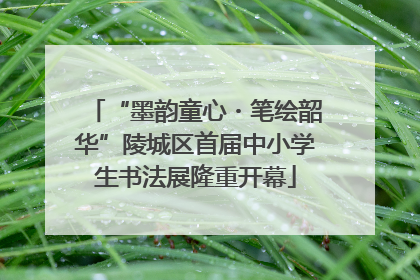 “墨韵童心・笔绘韶华”陵城区首届中小学生书法展隆重开幕