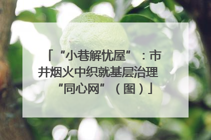“小巷解忧屋”：市井烟火中织就基层治理“同心网”（图）