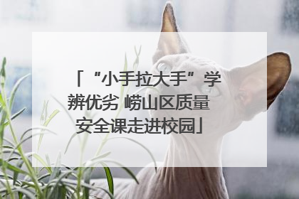 “小手拉大手”学辨优劣 崂山区质量安全课走进校园