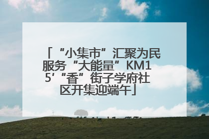 “小集市”汇聚为民服务“大能量”KM15′“香”街子学府社区开集迎端午