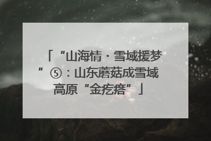 “山海情・雪域援梦”⑤：山东蘑菇成雪域高原“金疙瘩”