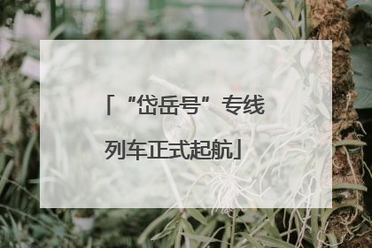 “岱岳号”专线列车正式起航