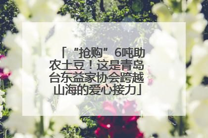 “抢购”6吨助农土豆！这是青岛台东益家协会跨越山海的爱心接力