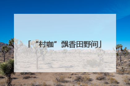 “村咖”飘香田野间