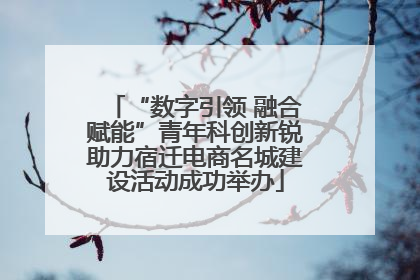 “数字引领 融合赋能”青年科创新锐助力宿迁电商名城建设活动成功举办