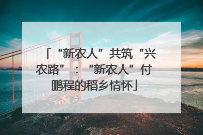 “新农人”共筑“兴农路”：“新农人”付鹏程的稻乡情怀