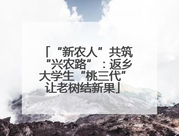 “新农人”共筑“兴农路”：返乡大学生“桃三代”让老树结新果