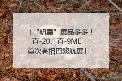 “明星”展品多多！直-20、直-9ME首次亮相巴黎航展