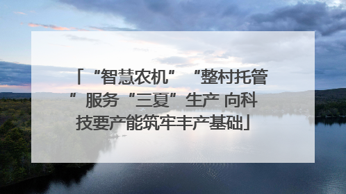 “智慧农机”“整村托管”服务“三夏”生产 向科技要产能筑牢丰产基础