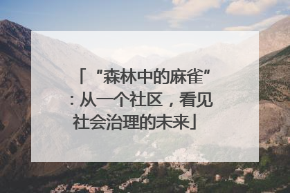 “森林中的麻雀”：从一个社区，看见社会治理的未来