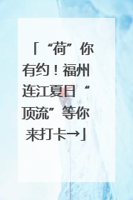 “荷”你有约！福州连江夏日“顶流”等你来打卡→