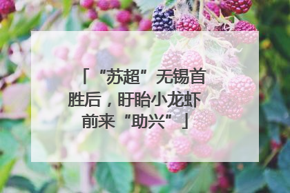 “苏超”无锡首胜后，盱眙小龙虾前来“助兴”