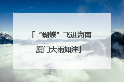“蝴蝶”飞进海南 厦门大雨如注
