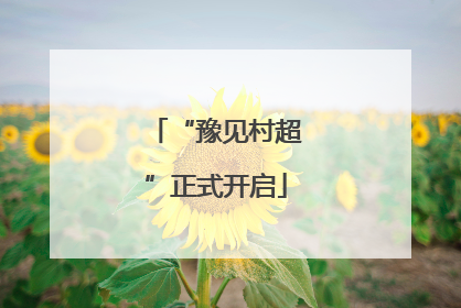 “豫见村超”正式开启
