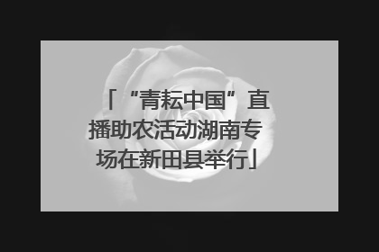 “青耘中国”直播助农活动湖南专场在新田县举行