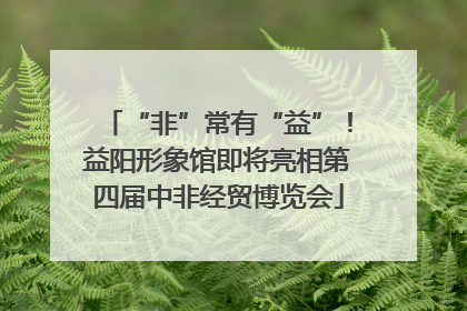 “非”常有“益”！益阳形象馆即将亮相第四届中非经贸博览会