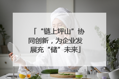 “链上坪山”协同创新，为企业发展充“储”未来