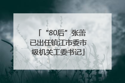 “80后”张蕾已出任镇江市委市级机关工委书记