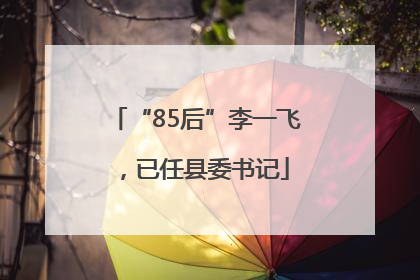 “85后”李一飞，已任县委书记