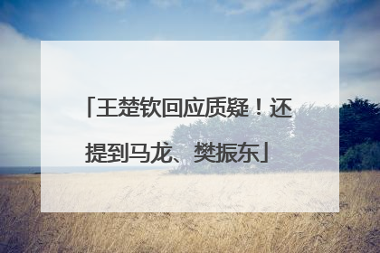 王楚钦回应质疑！还提到马龙、樊振东