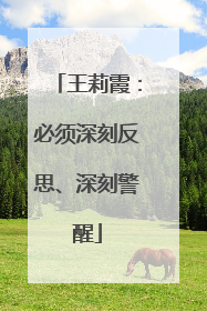 王莉霞：必须深刻反思、深刻警醒