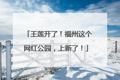 王莲开了！福州这个网红公园，上新了！