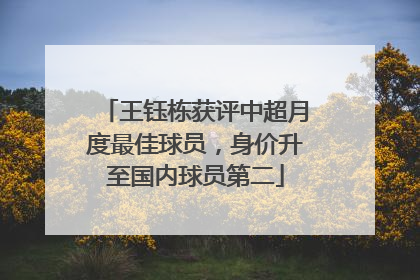 王钰栋获评中超月度最佳球员，身价升至国内球员第二