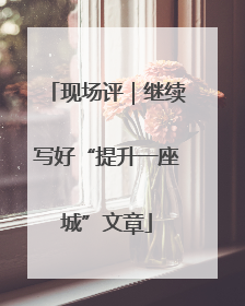 现场评｜继续写好“提升一座城”文章