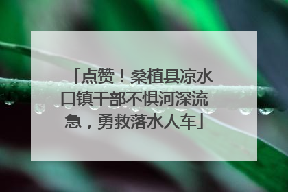点赞！桑植县凉水口镇干部不惧河深流急，勇救落水人车