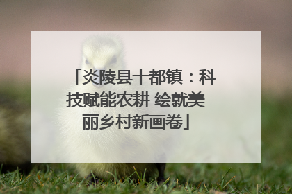 炎陵县十都镇：科技赋能农耕 绘就美丽乡村新画卷