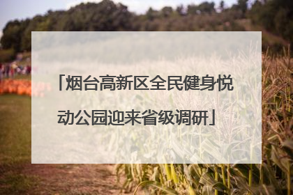 烟台高新区全民健身悦动公园迎来省级调研