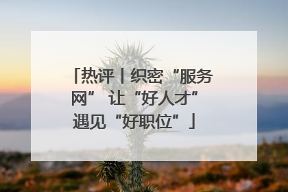 热评丨织密“服务网” 让“好人才”遇见“好职位”