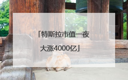 特斯拉市值一夜大涨4000亿